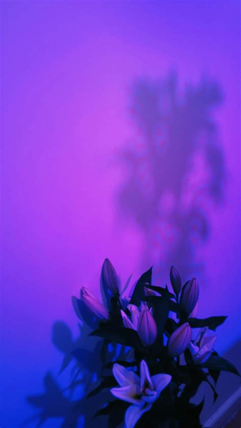 pleasantness codycross|Pleasantness .